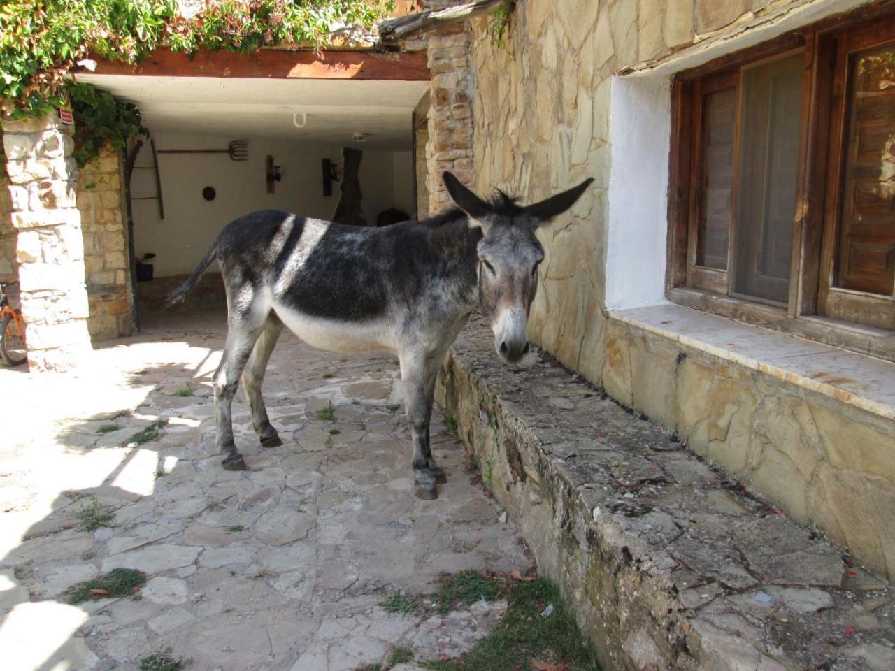 Casa Fausto Cerca De Dinopolis Formiche Alto