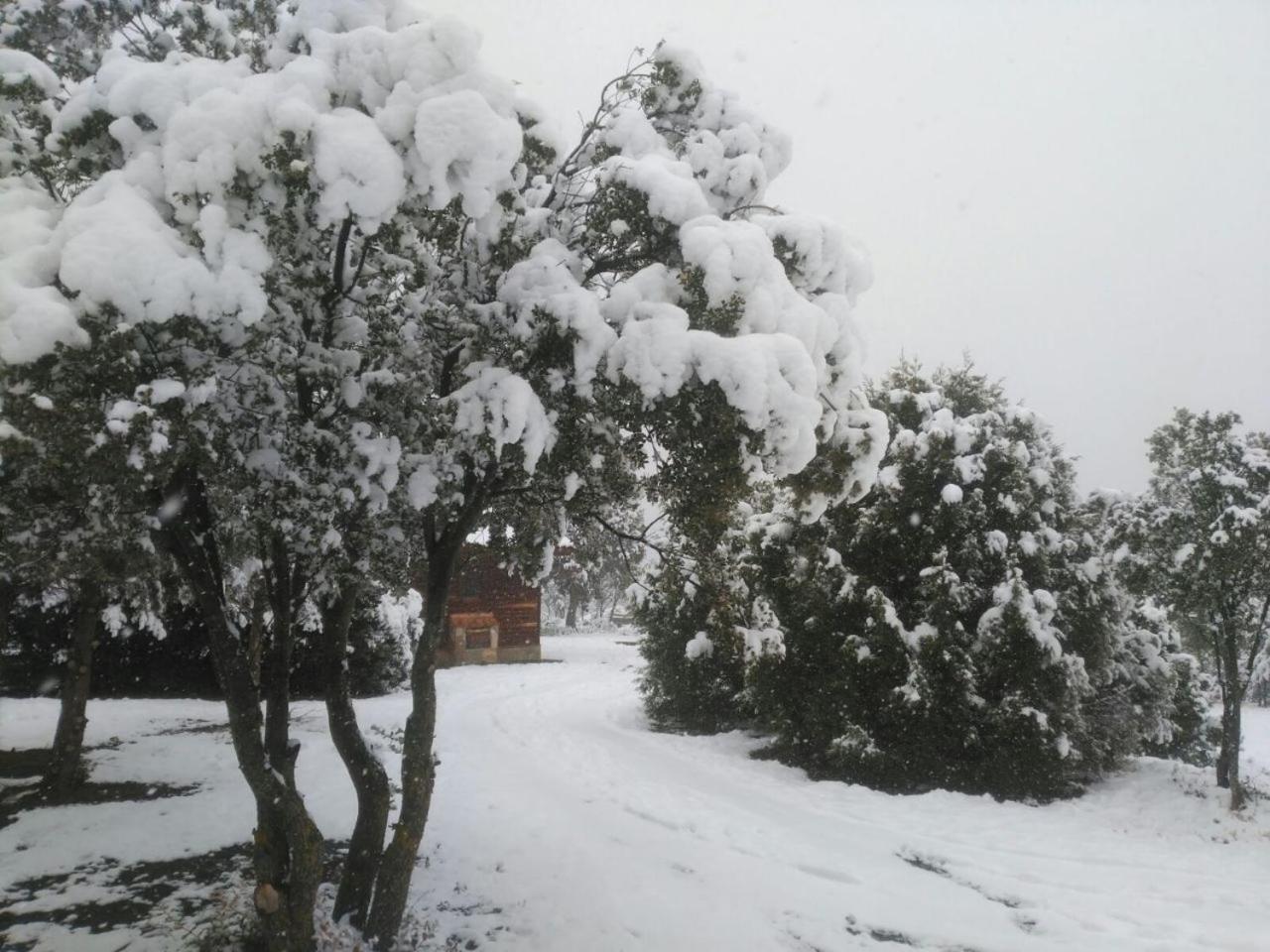 Holiday home Casa Fausto Cerca De Dinopolis Formiche Alto